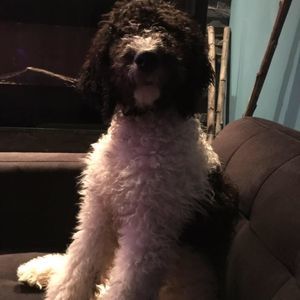 Meet your Posher, Melanie